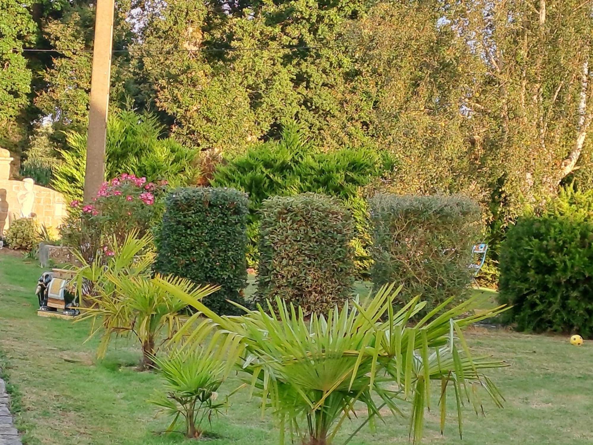 Gite En Campagne Lamegritniere 外观 照片