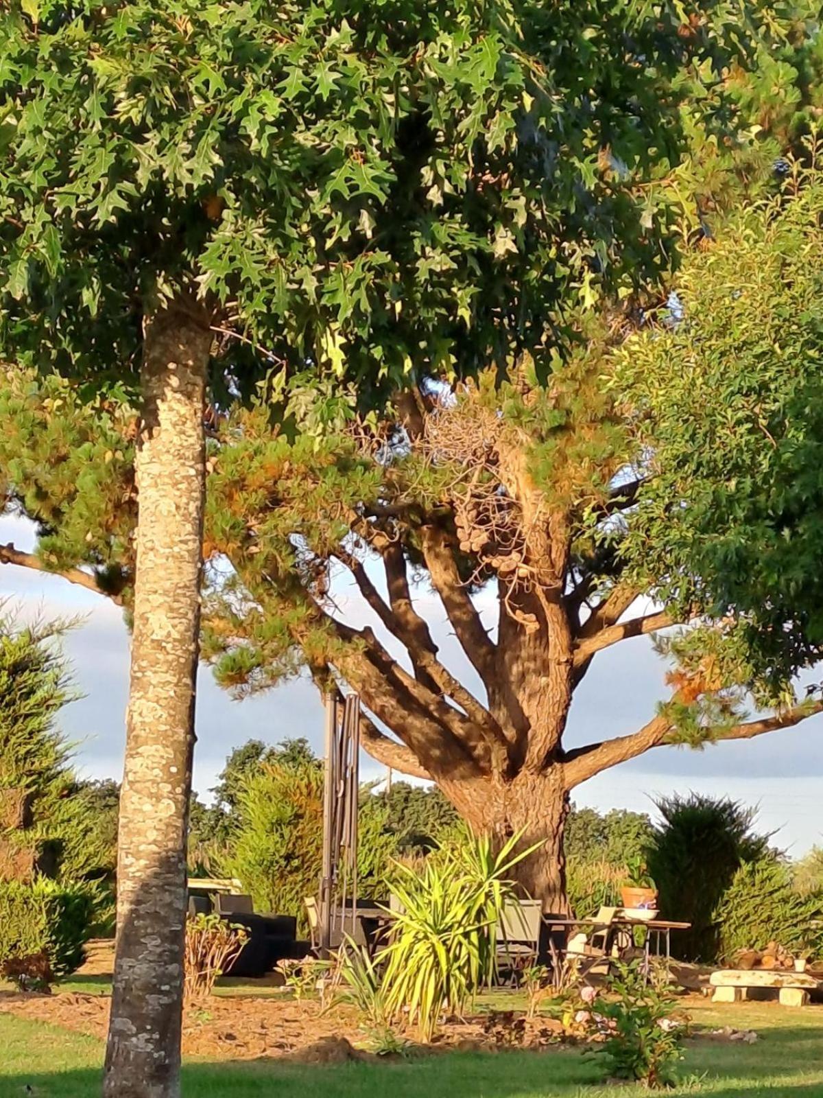 Gite En Campagne Lamegritniere 外观 照片