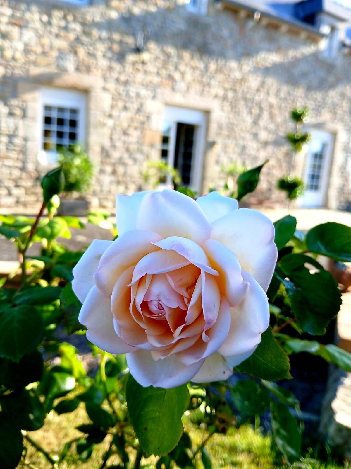 Gite En Campagne Lamegritniere 外观 照片