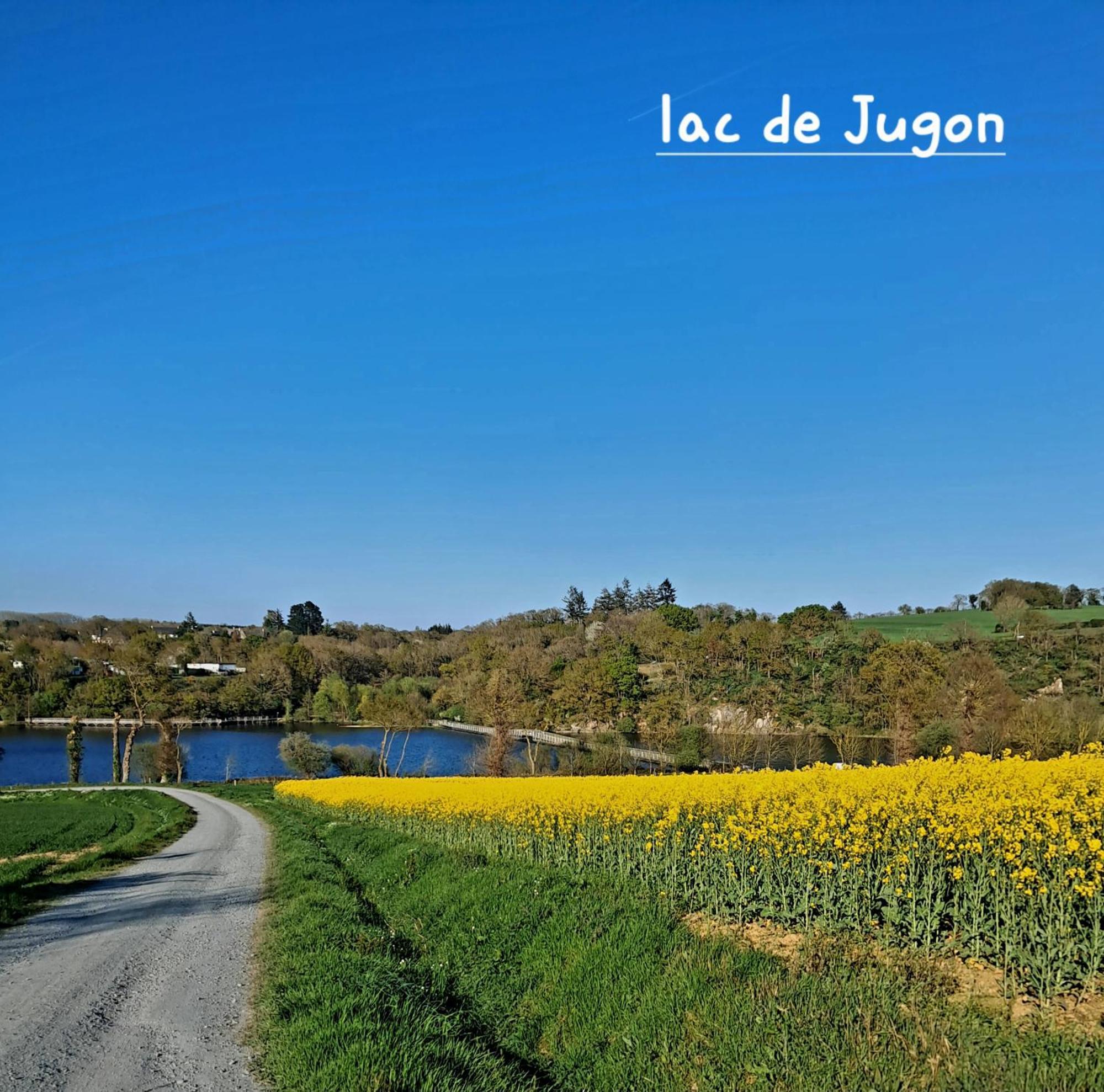 Gite En Campagne Lamegritniere 外观 照片