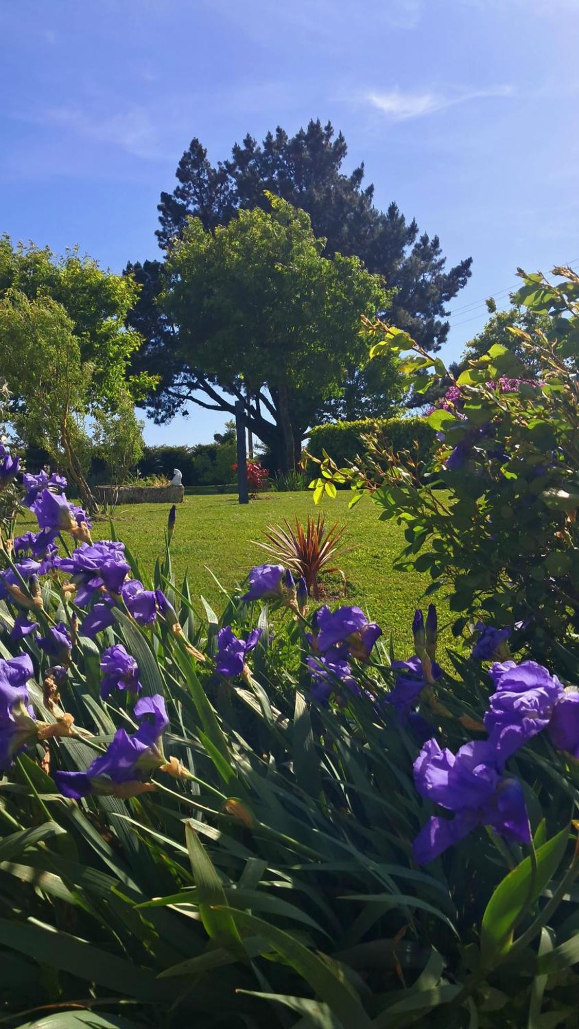 Gite En Campagne Lamegritniere 外观 照片