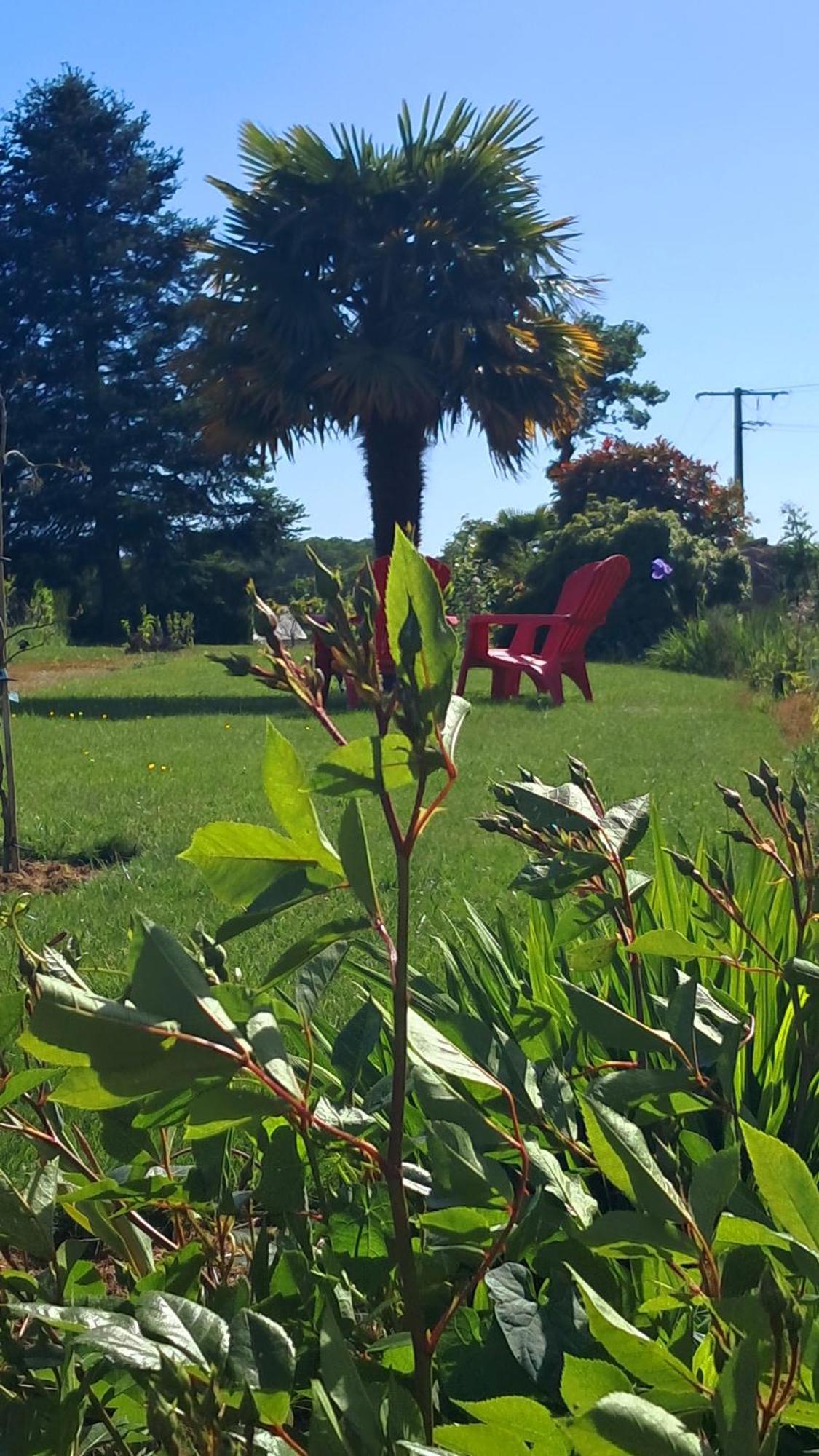 Gite En Campagne Lamegritniere 外观 照片